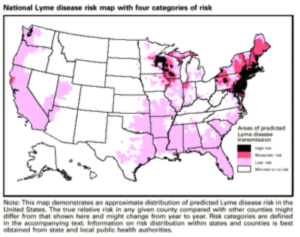 Lyme Dz Risk Map